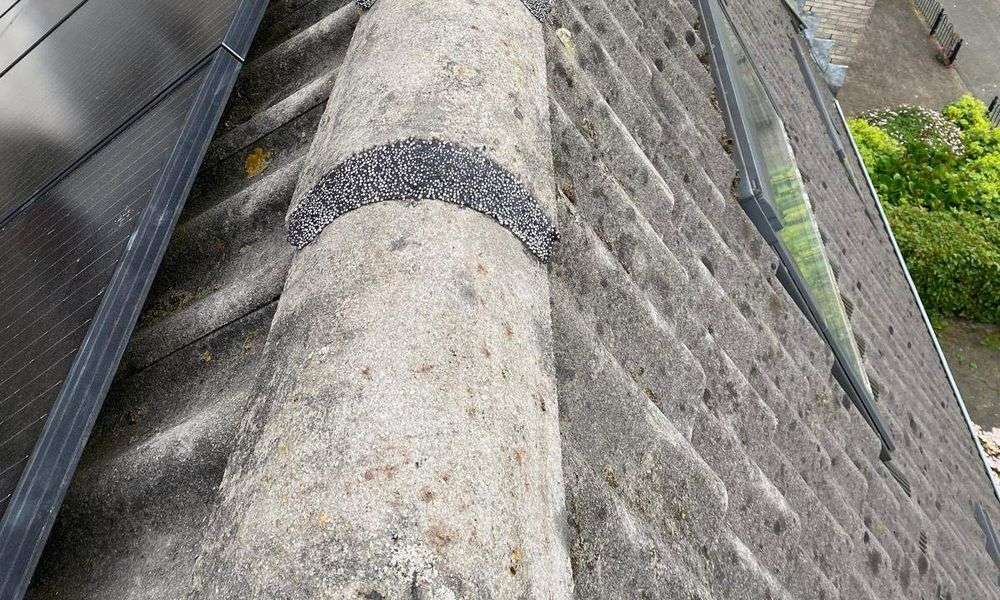 Vervangen van nokvorsten Velsen Nokvorsten zijn opnieuw vastgezet